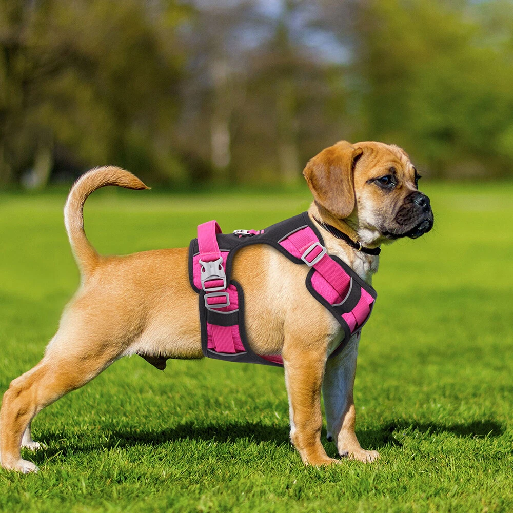 Dog Harness No-Pull Control Vest Reflective Breathable Mesh Vest w/ 2 Leash Clip Dog Harness No-Pull Control Vest Reflective Breathable Mesh Vest w/ 2 Leash Clip