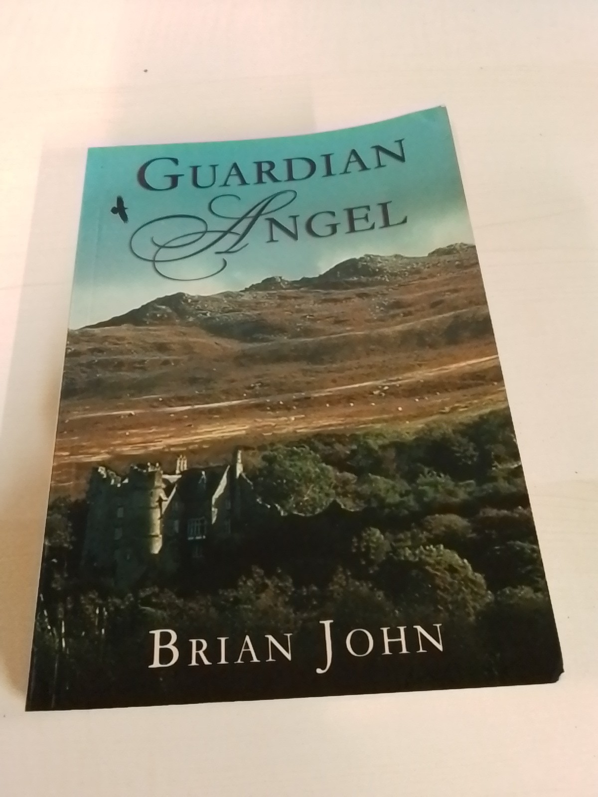 SIGNED. Brian John - Guardian Angel Signed Copy