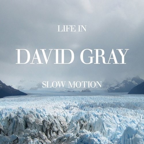 David Gray Vita In Slow Motion CD NUOVO