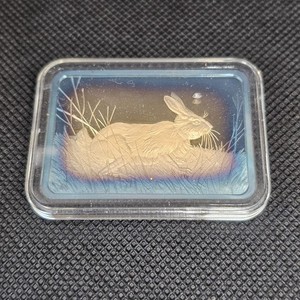 American Wildlife Collection | eBay