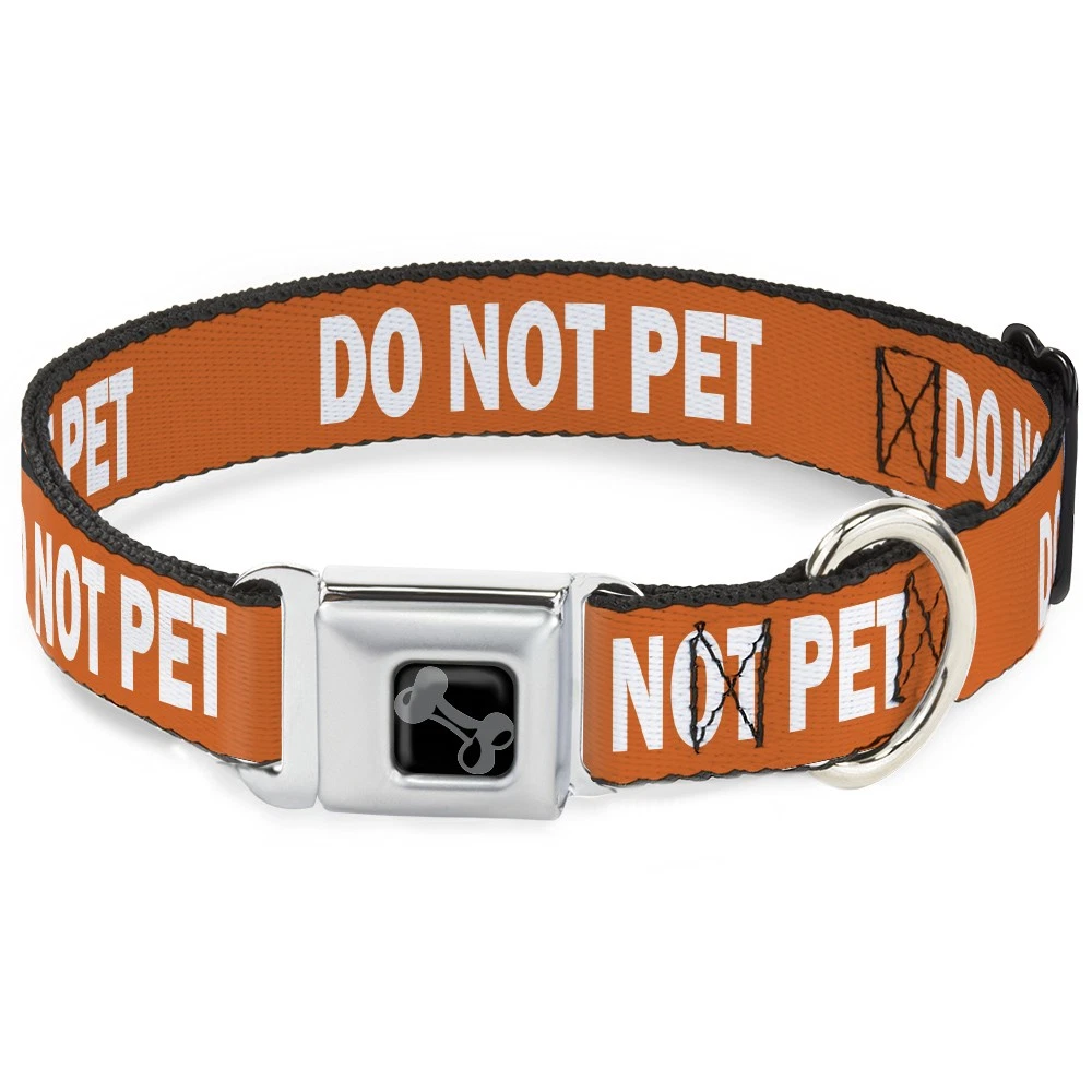 Dog Collar Bone Pet Quote DO NOT PET Orange/White WIDE-Small 13-17"