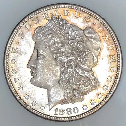 *1880 S MORGAN DOLLAR* *GEM BU+++* *SEMI PROOF LIKE* NR #G3730