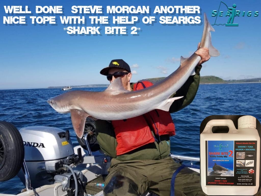 x 150 lb MONO SEA FISHING RIGS 10/0 SNELLED CIRCLE HOOK TOPE