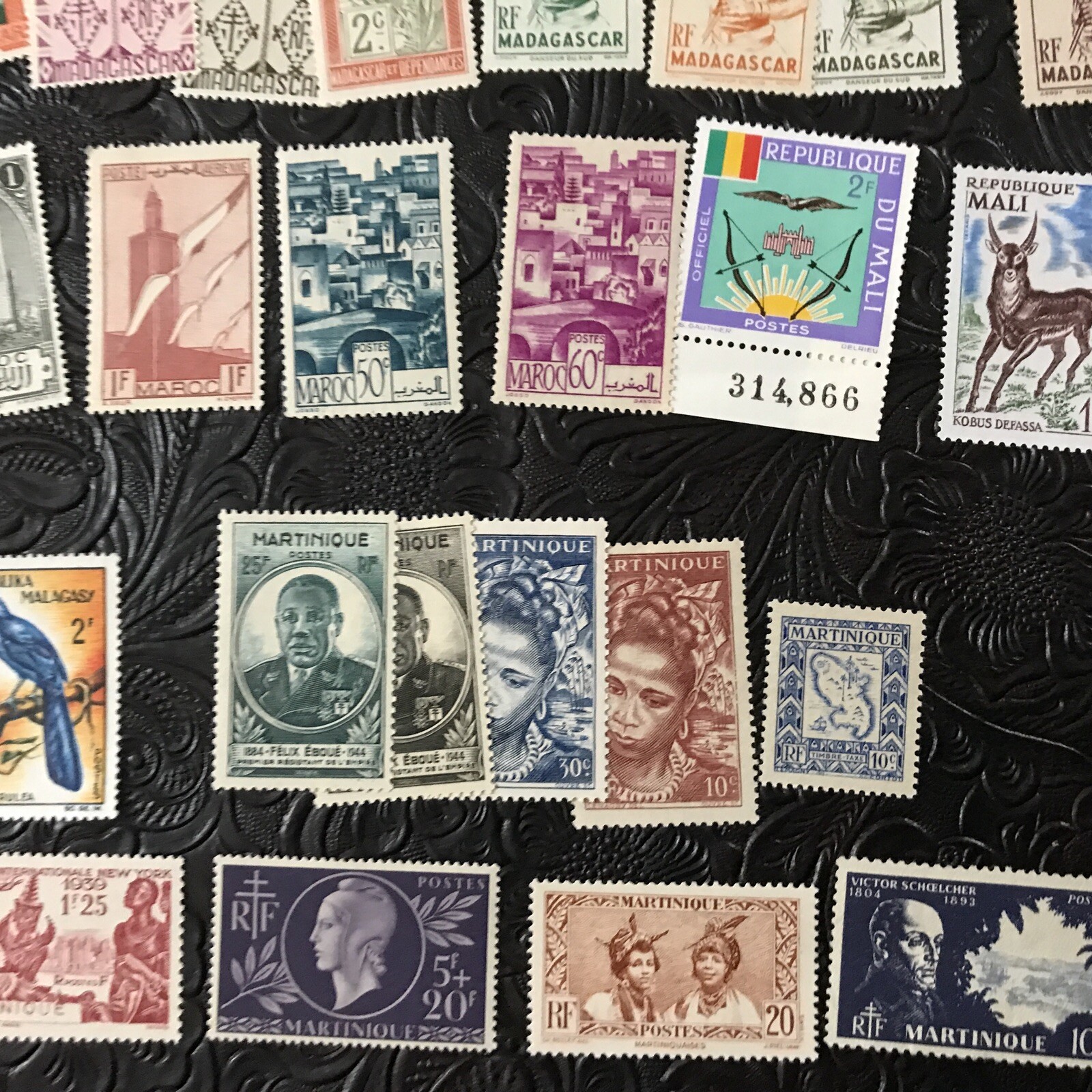Picture 12 of 19