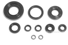 Yamaha YZ 250 2-stroke ( 2002 - 2025 ) Full Engine Oil Seal Set Kit x 10pcs