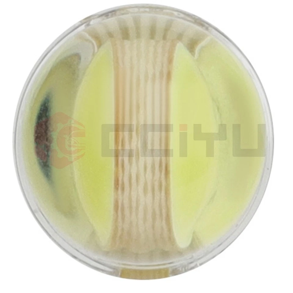 10x Canbus T10 Dash Cluster Gauge LED Wedge Bulbs Ultra White Light For Mini - Изображение 4 из 4