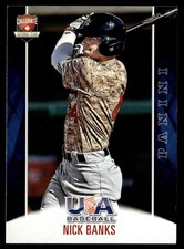 2015 Panini USA Nick Banks USA #5