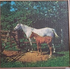 Vintage TUCO Jumbo Picture Puzzle "Little Champion" Horses 1000 Pc Complete EUC