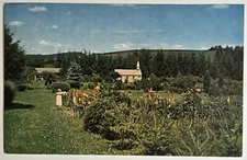 Out Lady of the Pines Church Silver Lake WV West Virginia Vintage Postcard