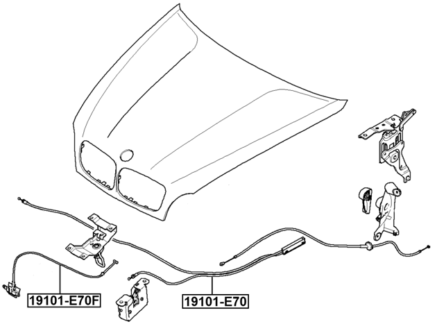 FEBEST Motorhaubenzug 1325mm Für BMW X5 E70 & X6 E71/E72 - Originalersatzteil
