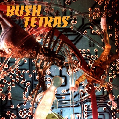 Bush Tetras - There Is A Hum / Seven Years (Vinyl 7'' - 2019 - US - Original)