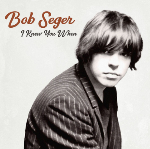 Bob Seger I Knew You When (Vinyl LP) 12" Album