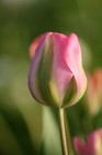 Bild 7 von 8