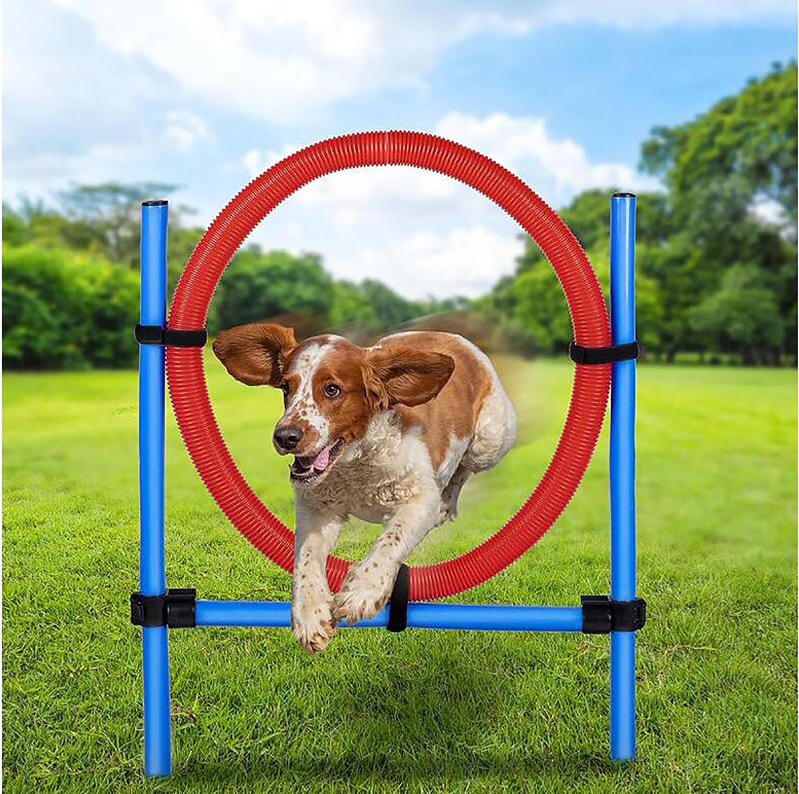 Pet Agility Set Training Dogs Outward Outdoor Play Hurdle Jump Hoop