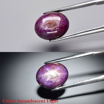 Rubis Étoile D'Afrique 9.47 Carats Non Chauffé - Rouge Pourpre Naturel