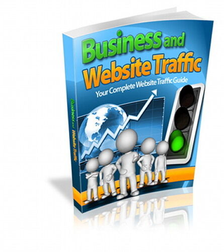 Increase Business And Website Traffic - Your Complete Website Traffic Guide (CD)