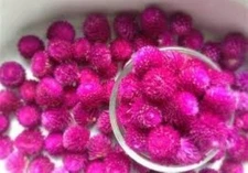 White Tea Gomphrena Globosa Flower Tea Flower Tea Herbal Tea Drink 50 g