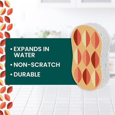 Harvest  Up Kitchen Spons, Unique pred Kitchen
