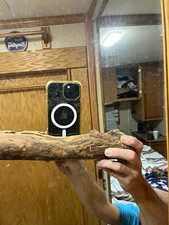 Natural Wood Log Branch / Craft Woodworking Project Material