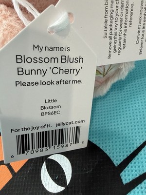 Jellycat Small Blossom Blush Bunny 'Cherry' Plush W/DustBag 100