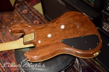 Schecter Platinum Wood Series PW-EX-B-BL Electric Guitar Natural Used