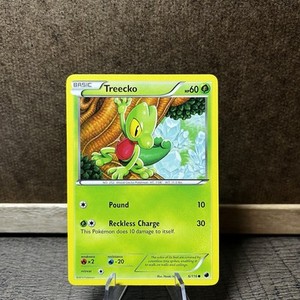 Treecko 6/116  B&W Plasma Freeze Common