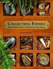 Fossil Collection: Hold Pre History in the Palm of Y...