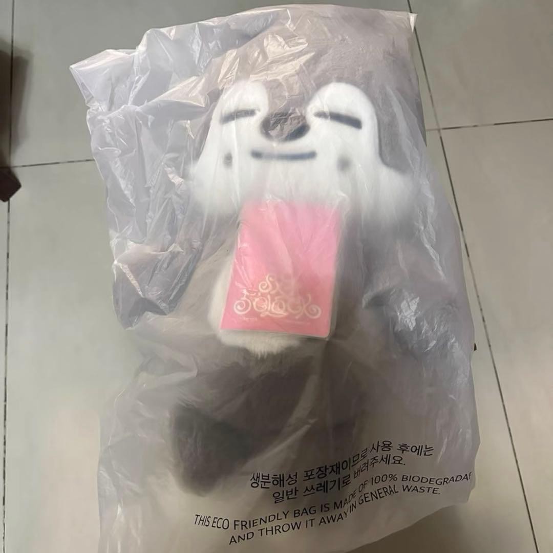 Stray Kids SKZOO WolfChan Official Plush Teddy Bear Ver. 5'clock W