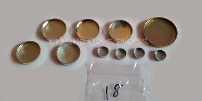 Morgan 4/4 Reliant Scimitar SS1 SST Sabre Ford 1.6 8v CVH Motor Core Plug Set