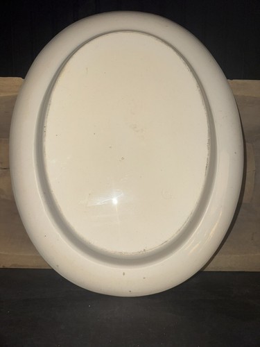 Spode Copeland China RARE Aesthetic Daisy Pattern 17” Platter - Picture 2 of 5