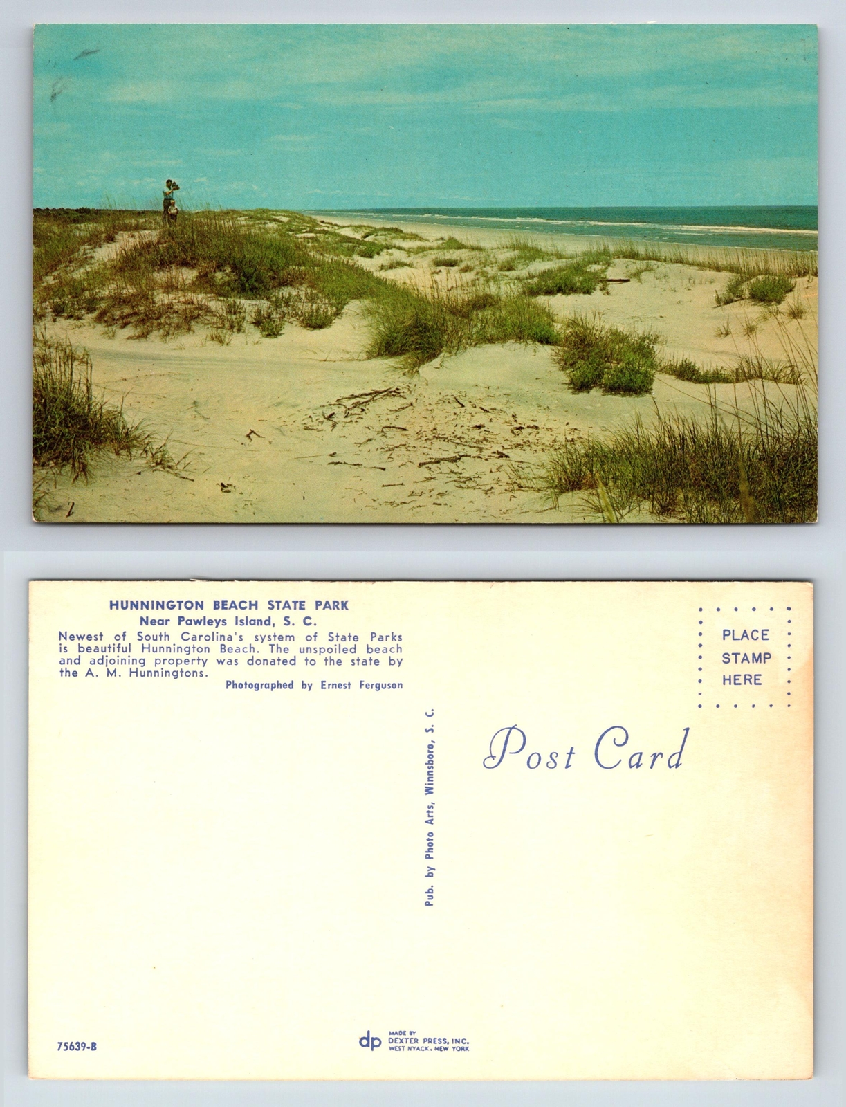 Huntington Beach State Park Postcard Pawleys Island South Carolina