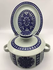 Rare! Blue Dahlia Stonehedge Wedgwood Midwinter England Pottery Set
