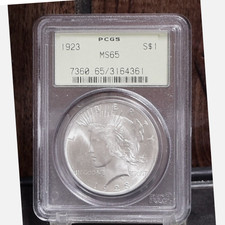 :1923-P SILVER PEACE DOLLAR FLASHY BLAST WHITE PCGS GEM BU MS65 HIGHEST GRADES