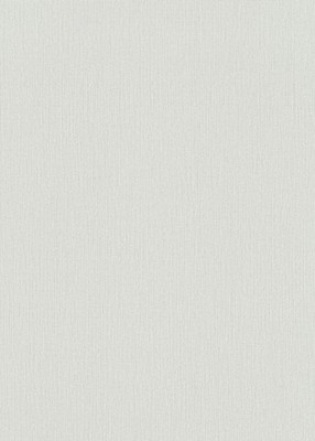 Erismann Vliestapete GMK Fashion for Walls 5 grau 1054231