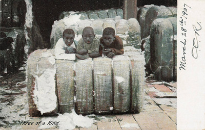 ''Three Of A Kind''. Black Boys Leaning On A Cotton Bale Divided Back Postcard