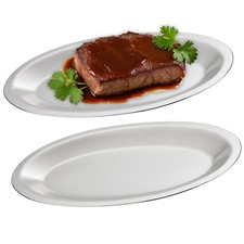 Thick Stainless Steel Dinner Plates Set of 2 - 9.9x6.1 Inch Egg-Shaped Appetizer