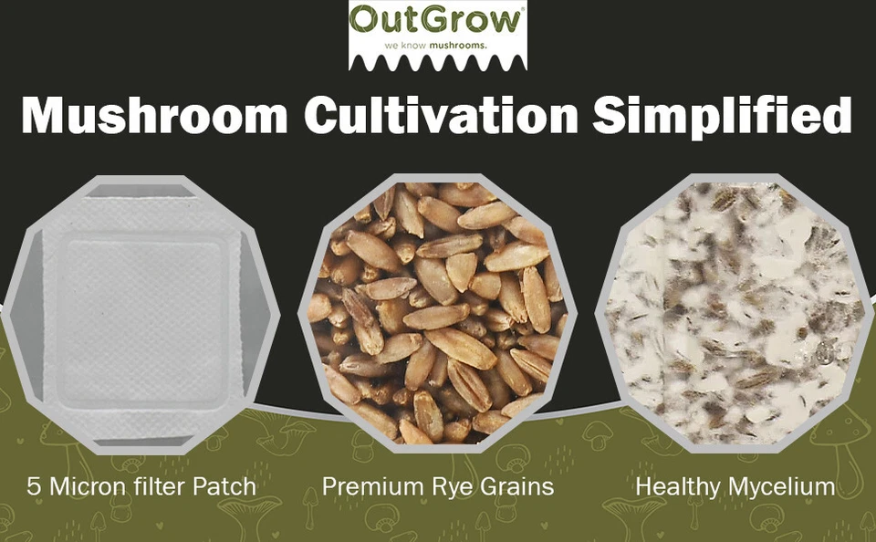 Bolsas de desove de grano de bayas de centeno esterilizadas | Paquete de 6 bolsas de una libra | Out Grow Foto 3 de 4