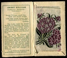 Kensitas Woven Silk Flowers,1934,Small,1st Series,Folder Type C,SWEET WILLIAM,56
