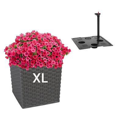 Blumenkübel mit Bewässerungssystem Rattan Pflanzkübel Tarasse Einsatz XL Graphit