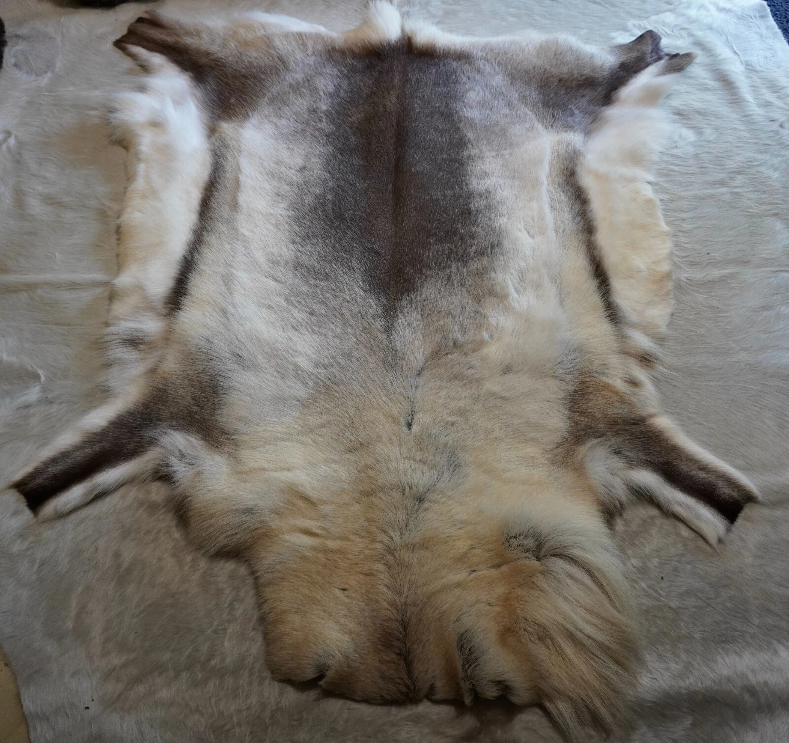 Picture 4 of 6