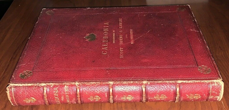 1878, CALEDONIA, SCOTT, BURNS, & RAMSAY, ILLUSTRATED, BEAUTIFUL FINE BINDING - Image 2 of 4