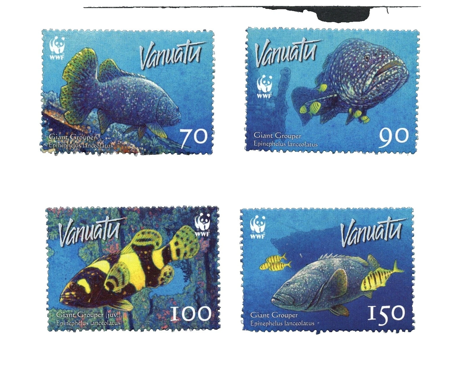 En excelente estado nunca abisagrado/estampillada sin montar o nunca montada Fish Vanuatu Sellos 1980-ahora