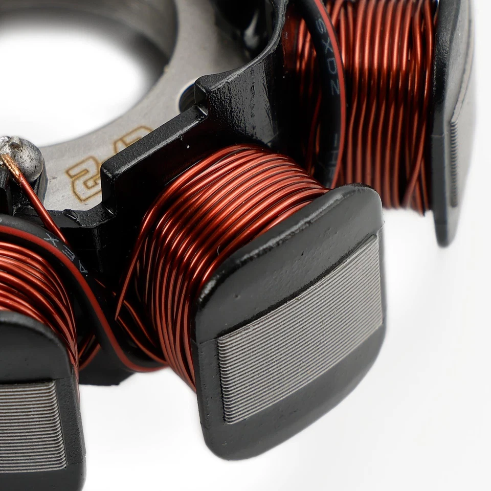 Estator magnético para BETA RR 2T / 4T / Xtrainer 026100050000 026.10.005.00 EE. UU. Foto 4 de 4