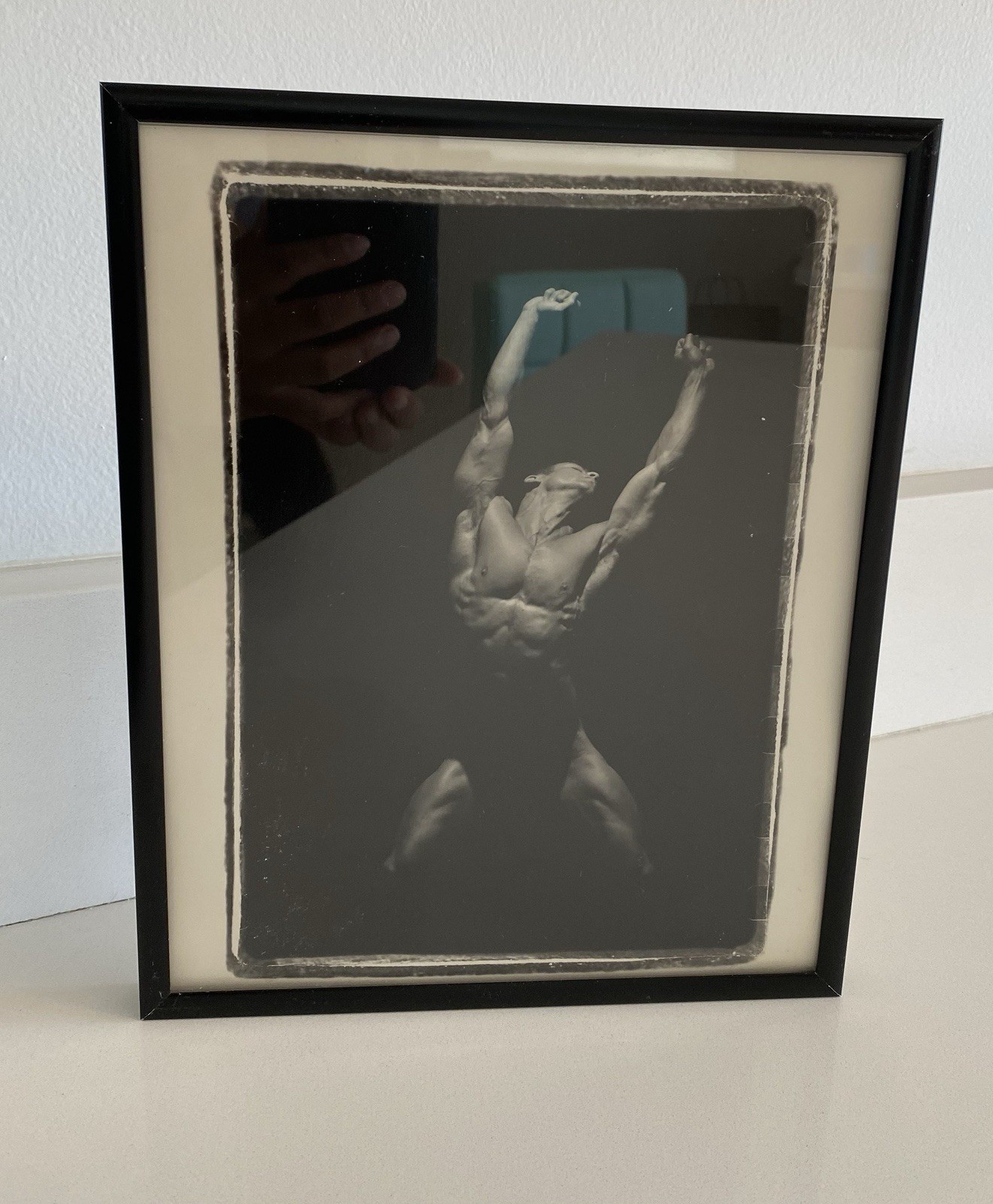 David Morgan Photographs St.Martins Press Signed Authentic