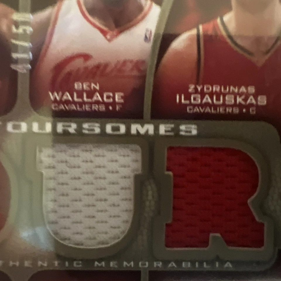 SP Fabric Foursomes 2009 juego usado | WEST/LeBRON/WALLACE/ILGAUSKAS | 41/50 Foto 3 de 4