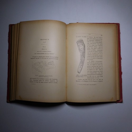 N25.4 Misère Grandeur Humanité Primitive 1889 illustré anthropologie Mme Meunier - Imagen 12 de 24