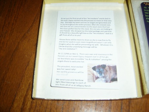 Ani-Motions, 46 Card Deck Inspirational Messages From the Animals - Picture 3 of 4