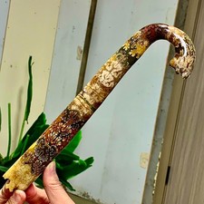 357G Rare elephant trunkTentacle Ammonite Specimen Repaired Healing Madagascar