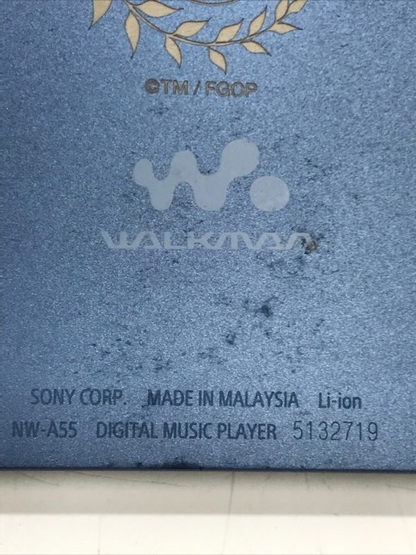 Sony Store Limited Walkman NW-A 55/FGO Fate/Grand Order Sony Store Limited Walkman NW-A 55/FGO Fate/Grand Order