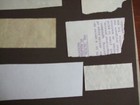 Bild 12 von 12